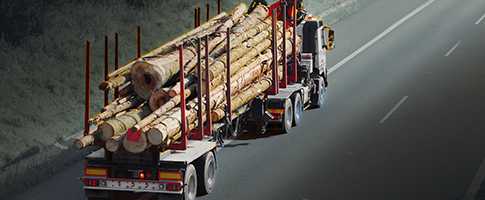 Forestry truck on highway
