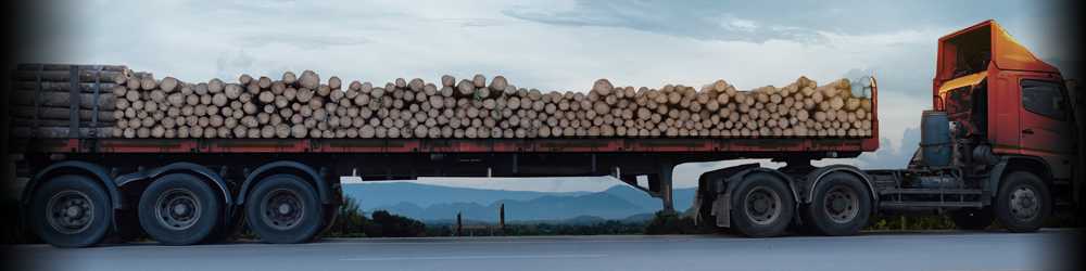 Logging truck pulling heavy load