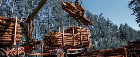 Logging truck loading timber